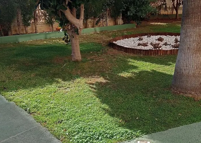 Rosa De Vientos * Calpe