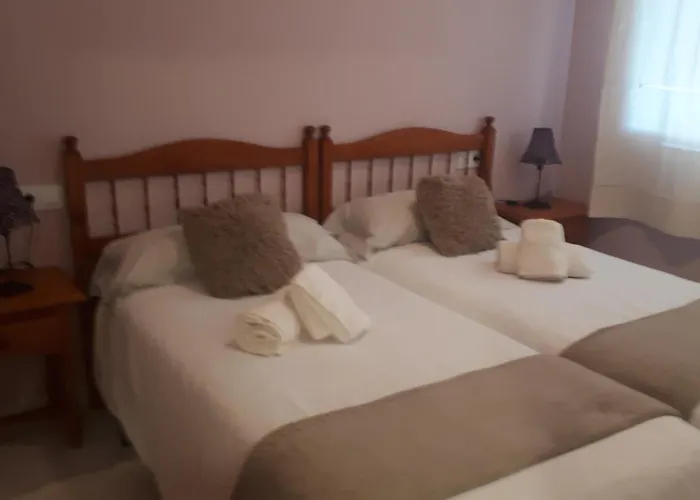 Rosa De Vientos Calpe