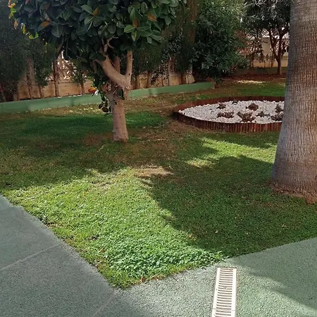 Rosa De Vientos * Calpe